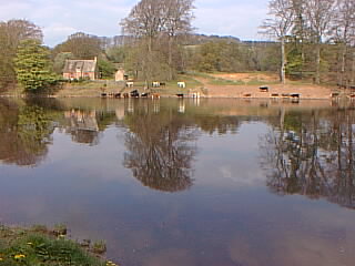 OK what is the significance of this picture