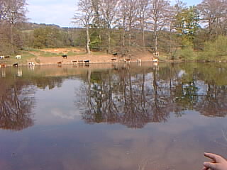 Perhaps the hand pointing will help you to work it out.