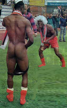 Which one is Lua? I have no idea.