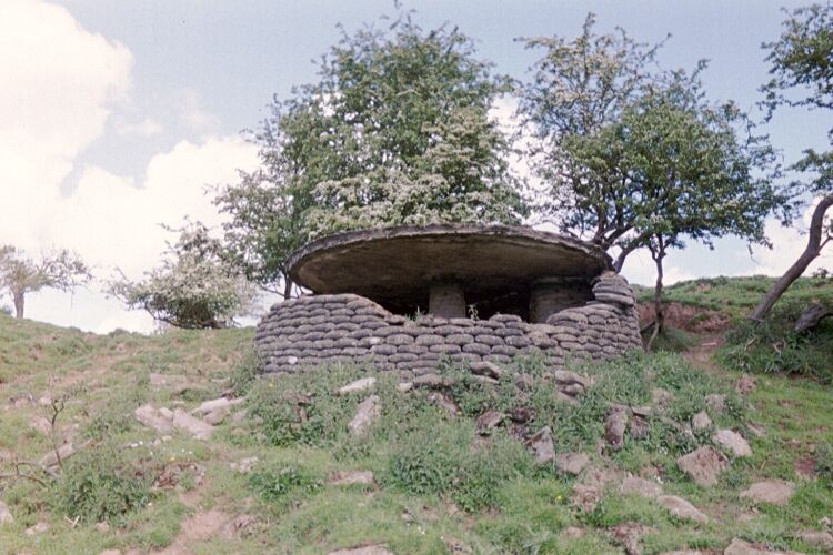 General view.