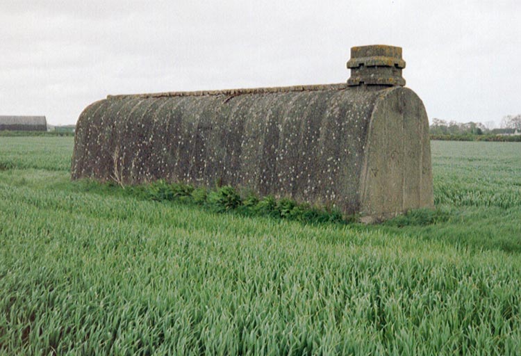 General view.