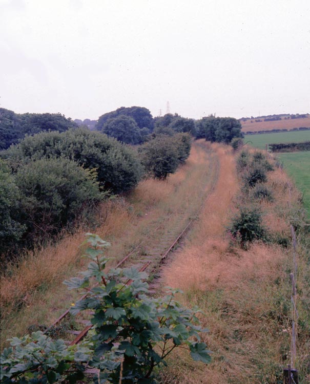 Bridge, Camerton.