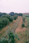 farm bridge looking west to Seaton