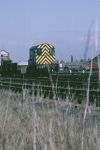 A diesel shunting-loco toils away in Workington's goods-yard.