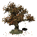 Can You Beleaf It?