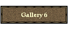 Gallery 6