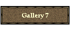 Gallery 7