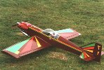 Steves Low Wing model