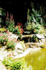 Garden1