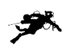 CDG logo