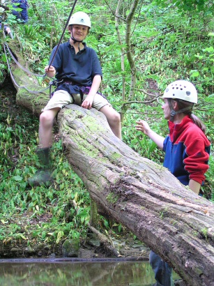 jungle trail