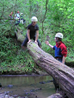 jungle trail