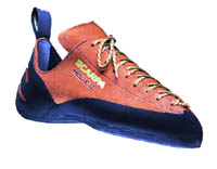 Scarpa helix