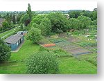 Allotments