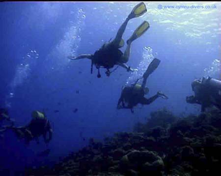 Divers Maldives copy