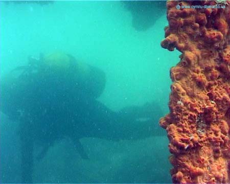 Malta2006(51)