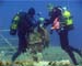 Malta2006(58)