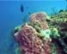 Cozumel1
