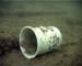 Goby in Cup2