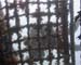 Netting&Diver