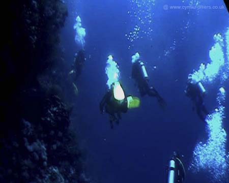 Divers Rea Sea 03