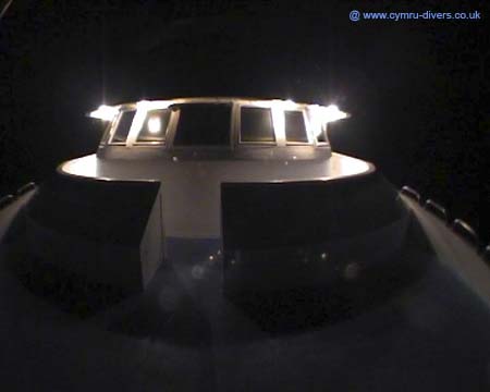 Sea Serpent at Night