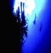 Brothers Divers 02