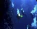 Divers Rea Sea 03
