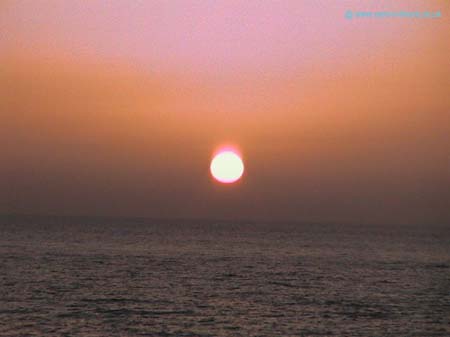 Picture 028