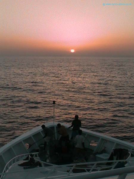 Picture 029