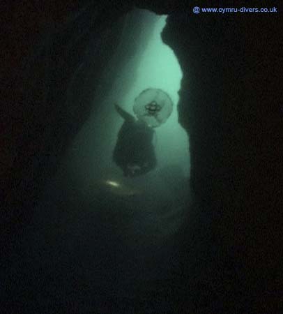 Cave2