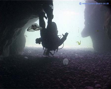 Out of cave