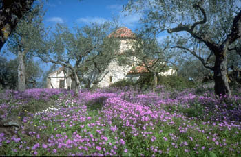 A church in the Mani