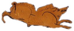 A fine acorn-fed porker!
