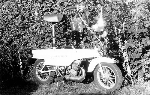Motob&eacute;cane Moby X1