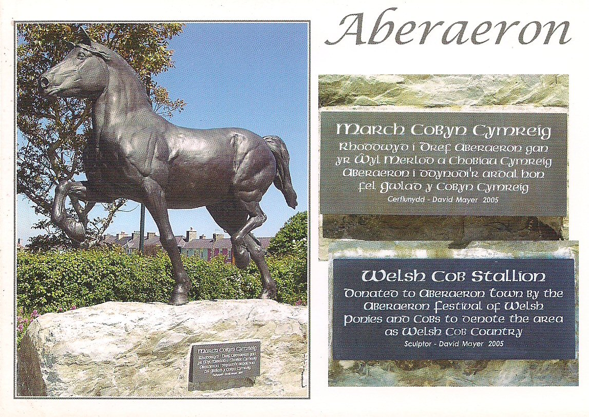 Welsh Cob Stallion Statue - Aberaeron Post Card CC215