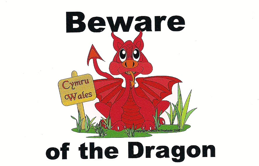 Beware of the Dragon sticker