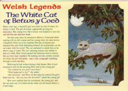 Welsh Legends - White Cat Post Card #CC97