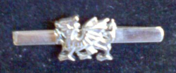 Welsh Dragon Tie Slide, outline