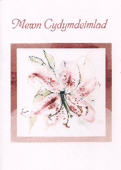 Cerdyn Cyfarchion - Greeting Card