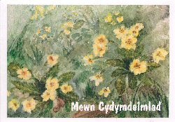 Cerdyn Cyfarchion - Greeting Card