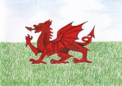 The Welsh Flag #1