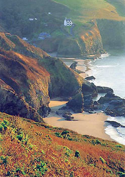 The Beach at Llangranog Post Card P254