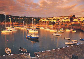New Quay Harbour early morning Post Card P286