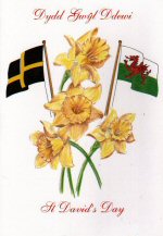 Saint Davids Day Card