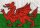 Welsh Flag