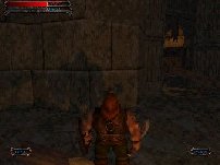 Nagflar the Dwarf, chasing shadows again.