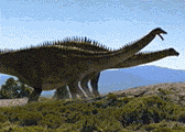 Diplodocus