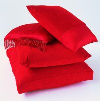 Marylyn Larkin Satin and Suede Cushions (range of prices), take details and click to order