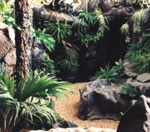 Themed cave & walk